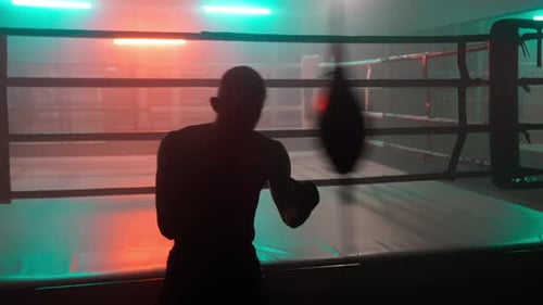 Boxer-Boxsackring