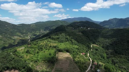Aerial Forest Mountain