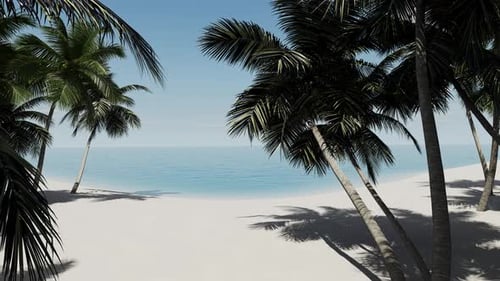 Beautiful summer, tropical landscape near the sea with palm trees