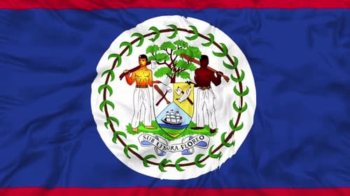 Waving Belize National Flag with Realistic Fabric Motion