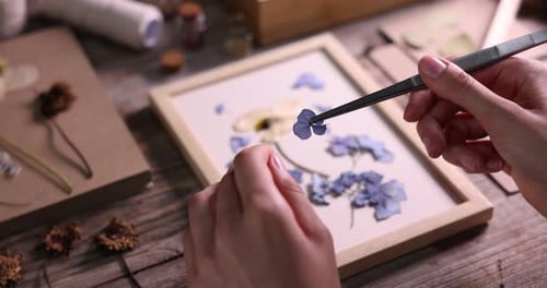 Arranging Pressed Flowers to Make Delicate Artistic Home Decor