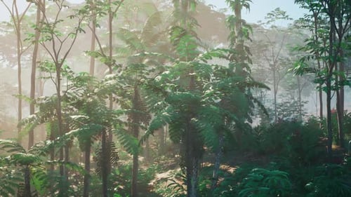 Dense Green Forest With Abundant Trees