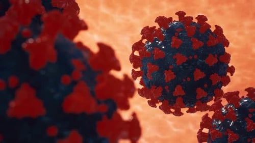 3D Animation of Rotating Coronavirus Particles