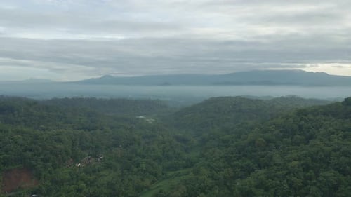 Drone view of endless forest in foggy morning.