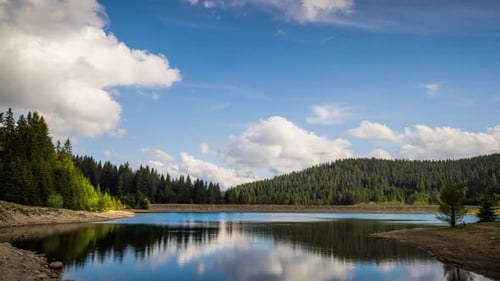 Lake with Clear Water and Stone Shore in Spruce Forest with Fir Trees Against a Daytime Sky