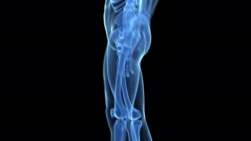 Rotation der menschlichen Skelettbein- und Fußknochen in blauer medizinischer Animation