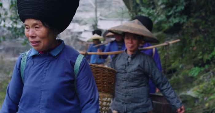 Royalty-Free China Farmer Videos - Envato