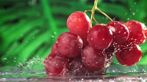 Red Grapes Fall with Splashes on a Wet Table Filmed on a Highspeed Camera at 1000 Fps
