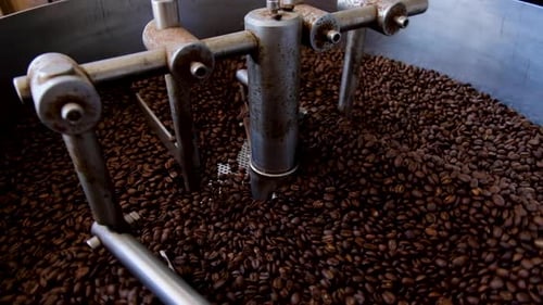Close up of aromatic, fragrant golden brown coffee beans freshly roasted in industrial coffee roaste