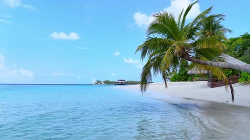Tropical White Sand Beach with Calm Turquoise Water and Palm Trees Under Blue Sky Serene Atmosphere