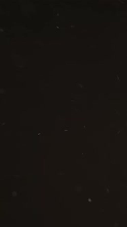 Vertical Dust Particles Bokeh Light Ash Flying