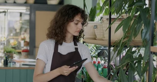 Young Woman Florist Using Tablet and Checking Beautiful Fresh Green Plants in Flower Shop