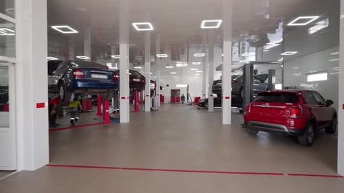 Modern Car Service Center with Vehicles on Lifts for Maintenance Workers Perform Auto Repairs