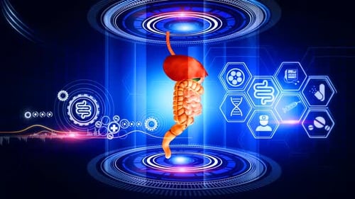 Futuristic Display of Liver and Intestine in Sci-Fi Setting
