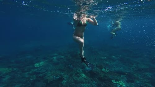 Under water view of young female snorkelling in the blue ocean taking a breath of air