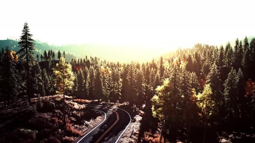 Uma estrada serena e panorâmica que serpenteia por uma floresta pitoresca ao pôr do sol