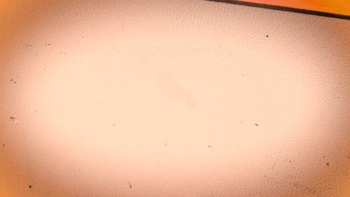 Retro Film Dust Scratches and Light Leaks Overlay