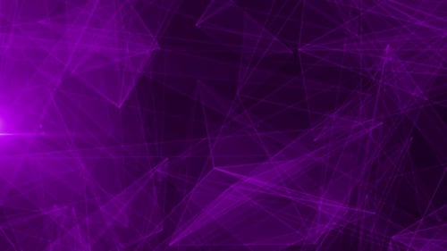 Abstract Purple Plexus Network Moving Background Loop