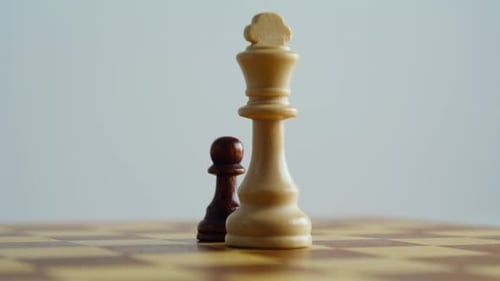 Closeup Chess Figures Standing on Chessboard Brown Pawn White King Game Pieces