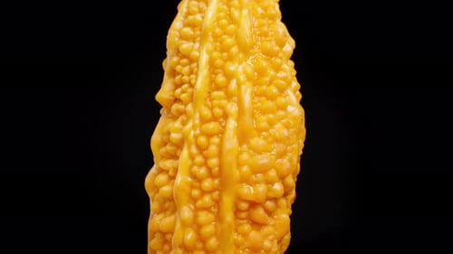 Vue détaillée de la surface bosselée du melon amer, qui tourne pour révéler des rainures complexes et arrondie