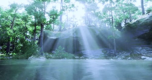 Light Beams Shine Through Trees Above a Calm Forest Lake in Early Morning