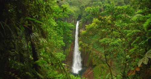 High Costa Rica waterfall Catarata del Toro framed by dense tropical forest