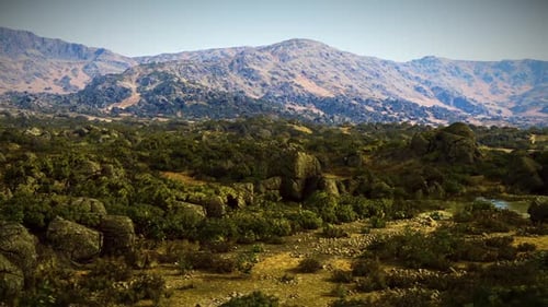 Vast Desert Landscape with Rugged Mountains and Greenery on a Sunny Day