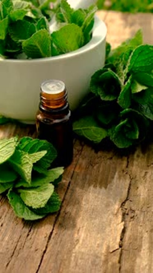 Mint Leaves and Essential Oil on Wood Surface