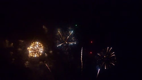 Vibrant Fireworks Exploding in the Dark Night Sky