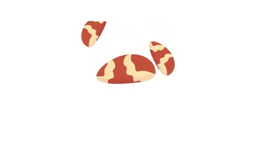 Brazil Nuts Element Alpha Animation