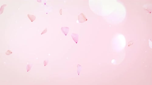 Cherry Blossom Background