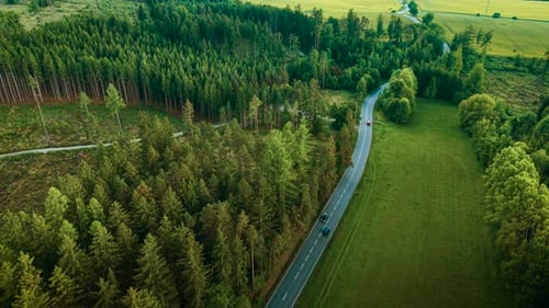 Cars Driving on Winding Road Through Forest Vehicles Moving Along Curved Highway Surrounded By Dense