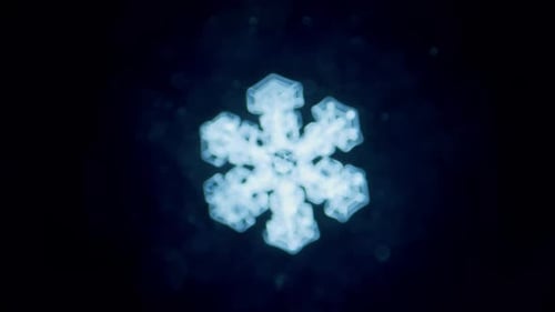 Snowflake under microscope