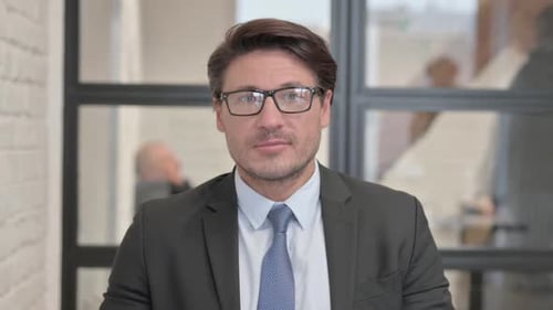 Portrait of Serious Businessman in Office