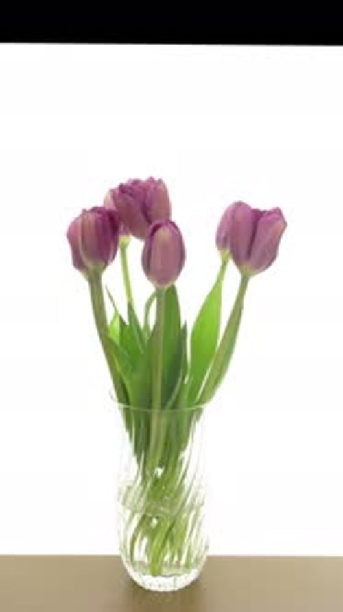 Purple Tulips in Clear Vase on Wooden Table