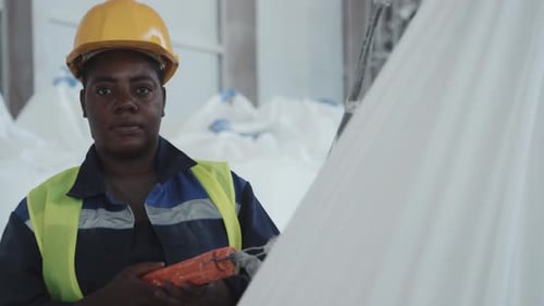 African American Woman At Work In Factory