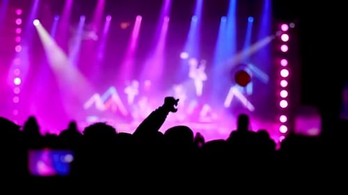 Joven fan saltando y bailando durante un concierto en vivo de su artista favorito