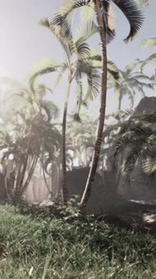 Serene Tropical Forest at Dawn