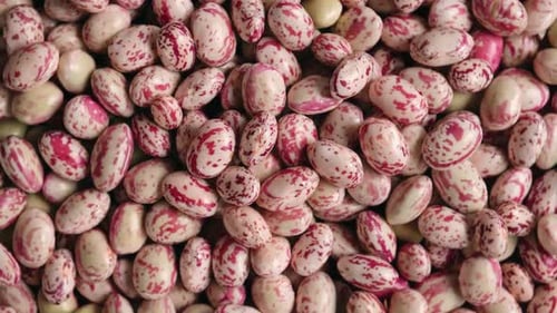 Close Up of Uncooked Speckled Beans Seeds