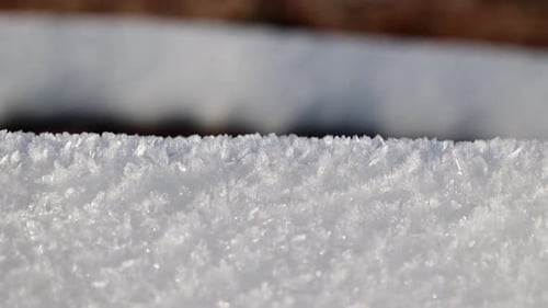 Close-up of snow crystals on a sunny day. Winter background.