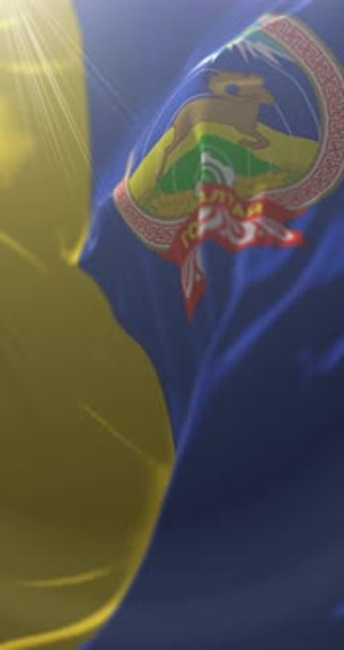 Vertical Waving Flag Animation with Detailed Emblem and Sun Rays