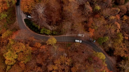 Carretera de montaña con coches que atraviesan árboles forestales de color marrón amarillento en otoño