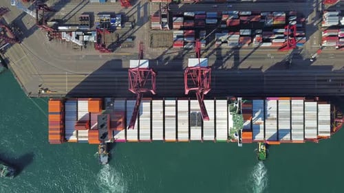 Port with Cargo Ship and Containers Import and Export