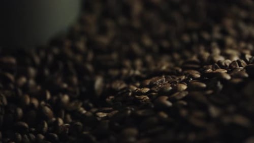 Coffee Beans Turning inside Roasting Machine