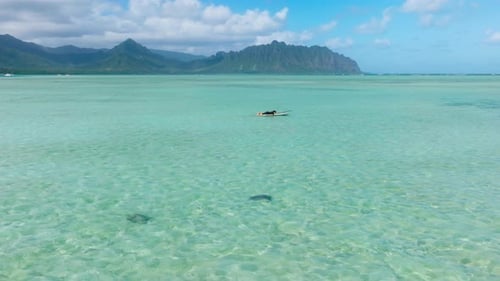 Man Swimming on Paddle Board at Coral Reef with Wild Sea Turtles Seen in Water