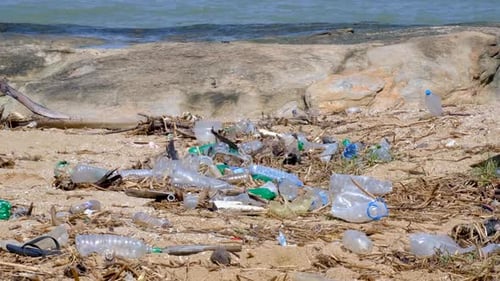 Closeup view of plastic trash debris pollution littering beach washed up from ocean