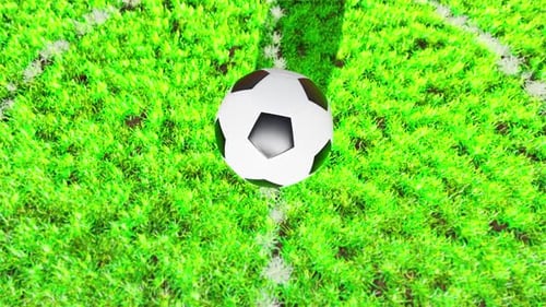 Football On Grass 03 HD