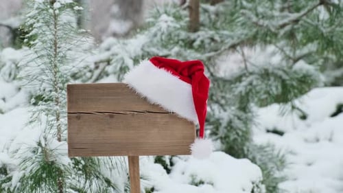 Santa hat on wooden road sign, nature background with pine trees and snowy forest