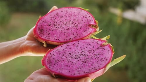 Red Dragon Fruit Cut in Half Close Up