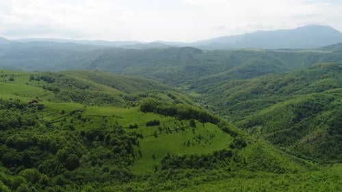 Aerial View of Forest at Sunrise